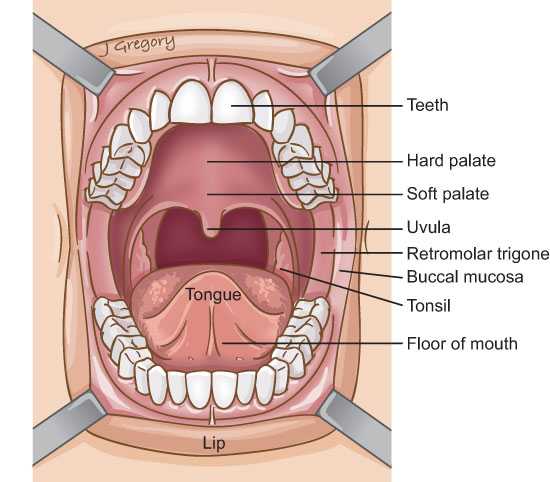 types of oral cancer