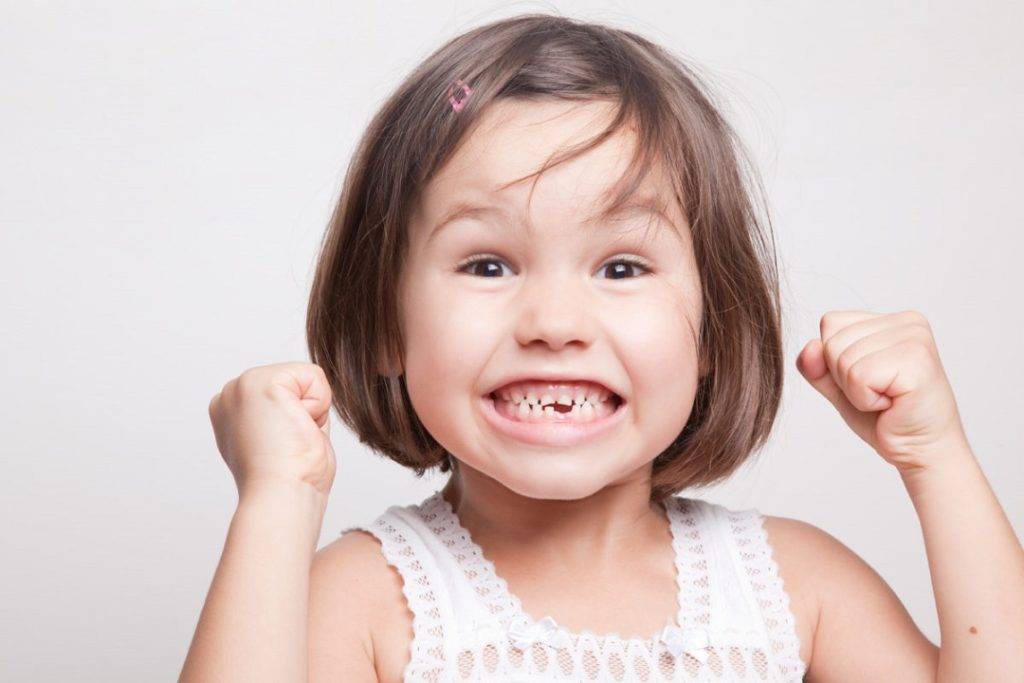 milk teeth and permanent teeth