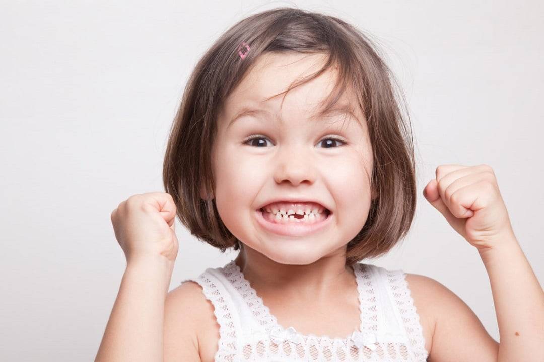 milk-teeth-adult-teeth-comparison-of-temporary-teeth-of-a-child-and