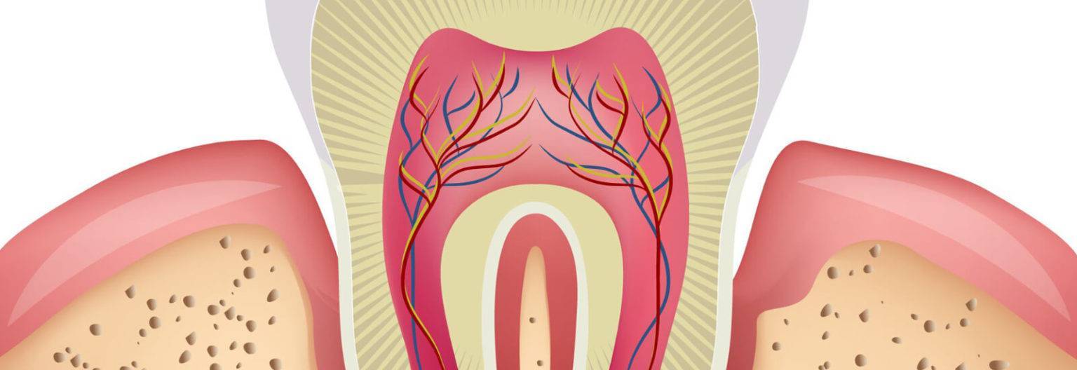 Best Tooth Erosion Treatment Tooth Abrasion Dental Treatment