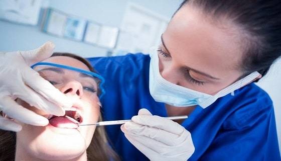 visit to the dental expert visit to the dental expert