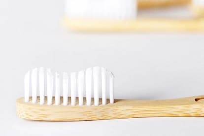 Bristles of the toothbrush