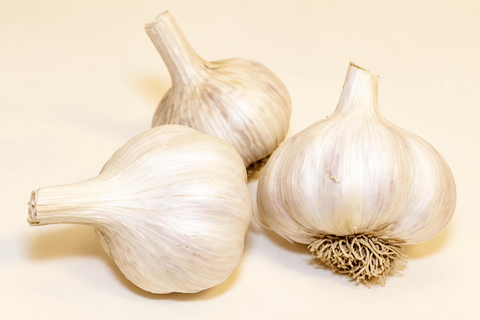 tooth wth infection garlic remedy